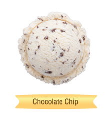 chocolate chip