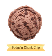 fudge'n chunk chip