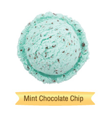 mint chocolate chip